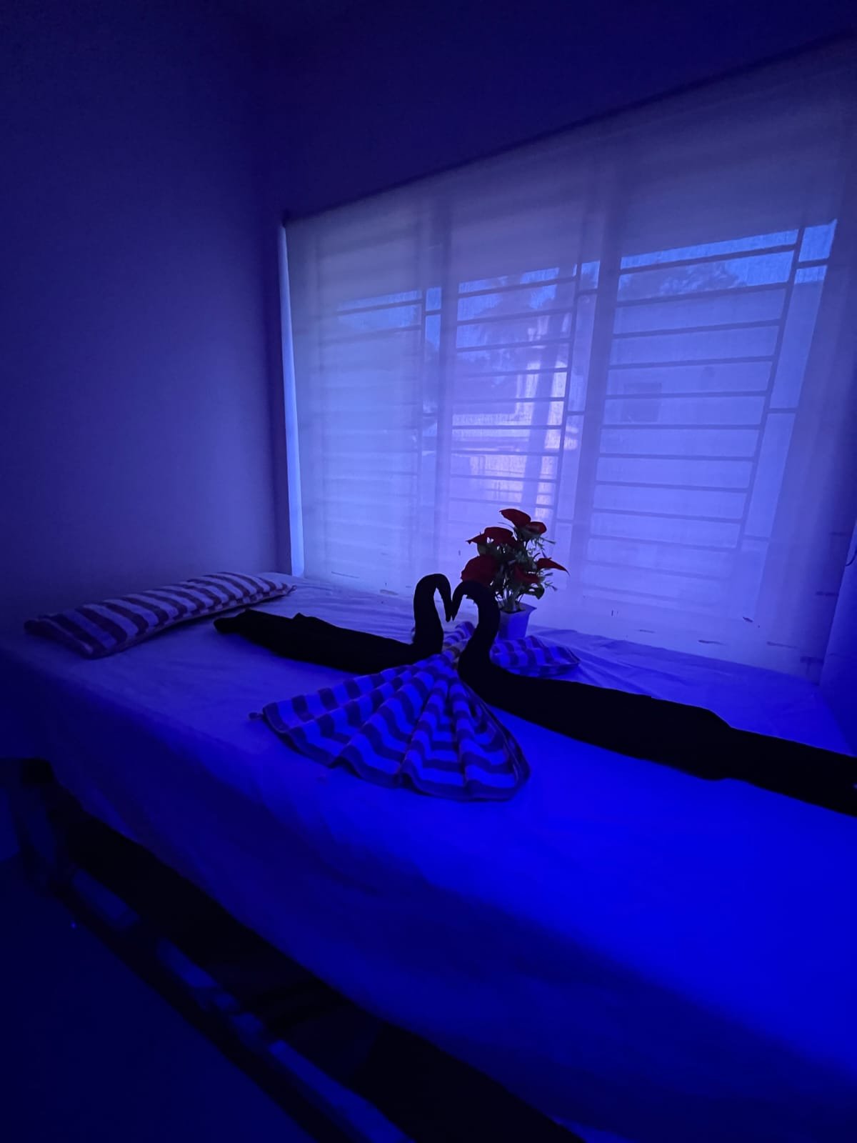 Professional body massage therapy at 4M Spa in Chennai